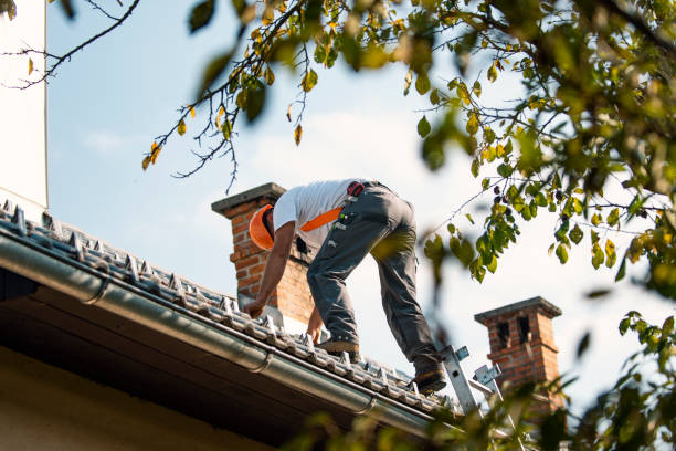 Professional Roofing Contractor in North Springfield, VA