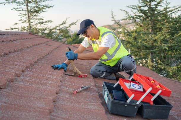 Best Flat Roof Repair Services  in North Springfield, VA